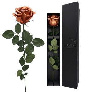 Single Rose - Color Rose Gold