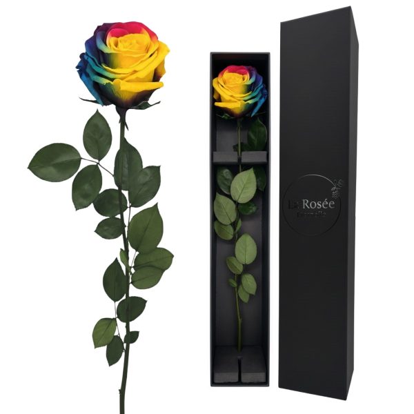 SIngle Rose - Color Tie-Dye